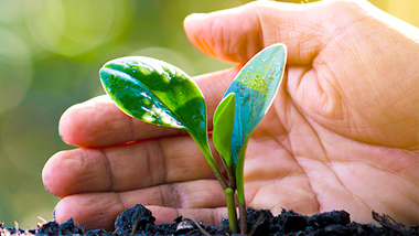당신의 마지막도 당신답게, 어떤 씨앗을 남기시겠습니까?