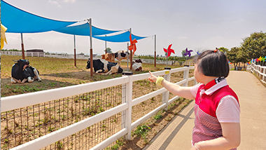밀알복지재단의 지부 및 운영시설의 소식을 전해드립니다.