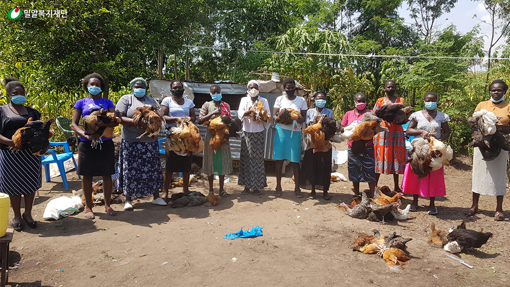 빈곤가정을 대상으로 한 소득증대사업(양계사업).jpg