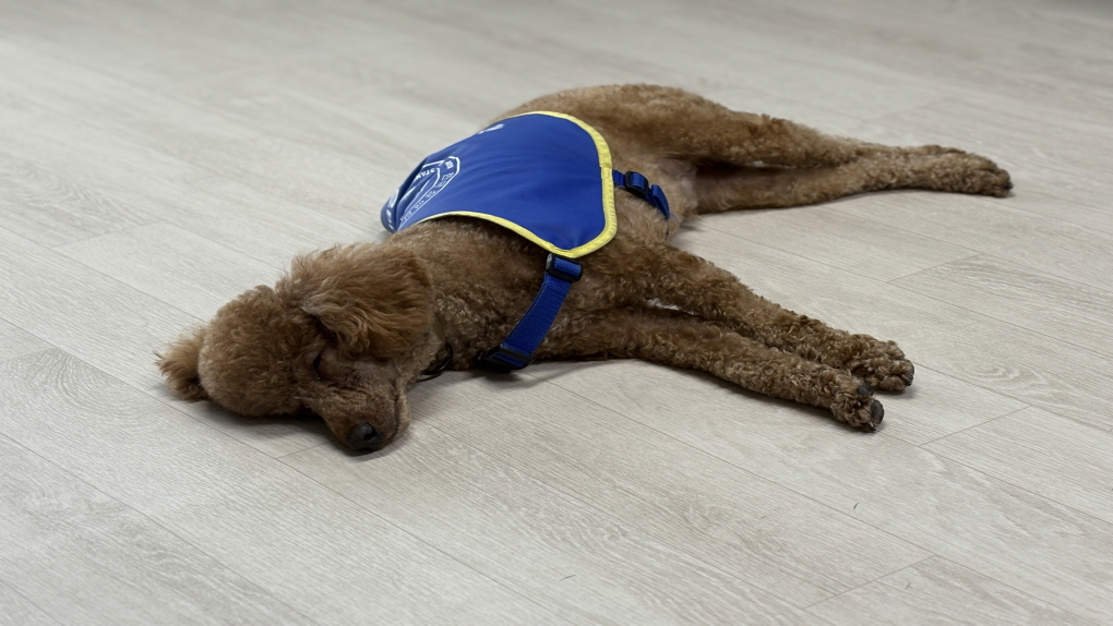 누워있는 앤디1.jpg