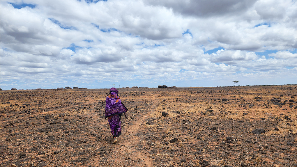 세계 물의 날, 가뭄으로 위기에 처한 케냐 마사빗 지역 이야기